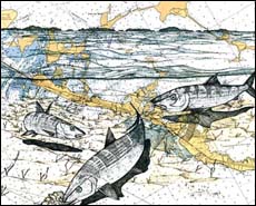 Bonefish Art - Bonefish Trio