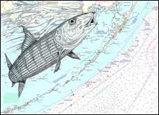 Bonefish Art - At the Surface