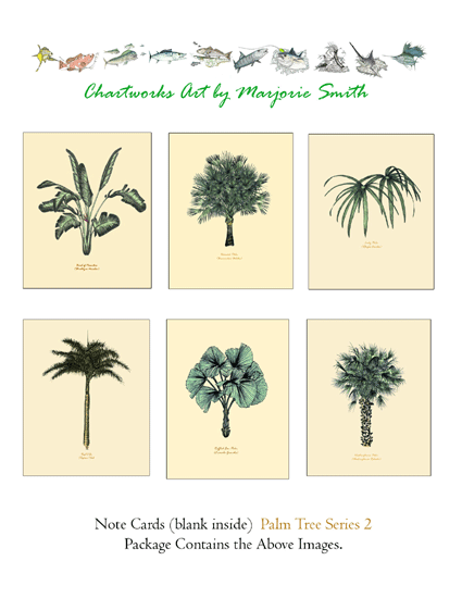 Palm Trees, Series 2A.  Cream Background with White Border