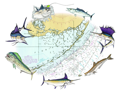 Offshore Seven - Chart