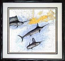 Key West Billfish